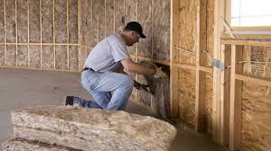 Best Eco-Friendly or Green Insulation Solutions  in Lake City, SC